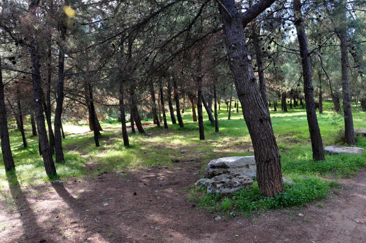 Aletraki -Off-Grid Retreat Above Heraklion, Peaceful Views Archanes Exterior photo